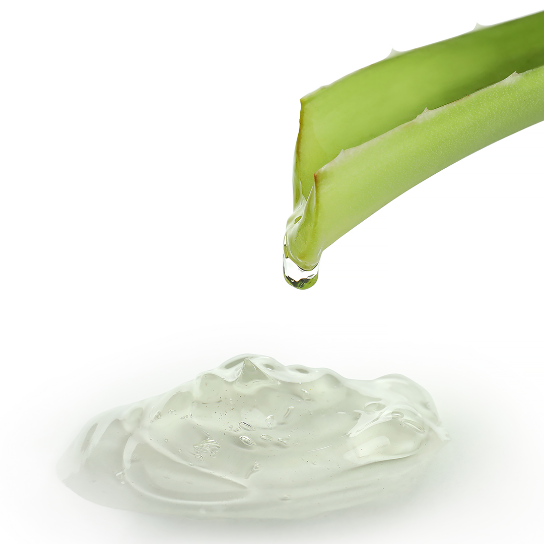 Aloe vera